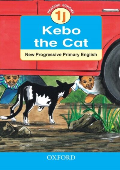 Kebo The Cat