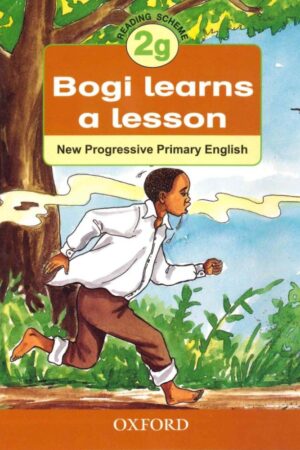 Bogi Learns a Lesson