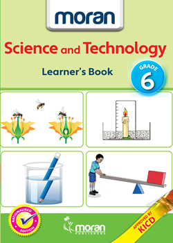 Moran Science & Technology Grade 6