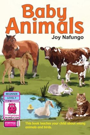 Baby Animals