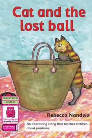 Cat and the Lost Ball