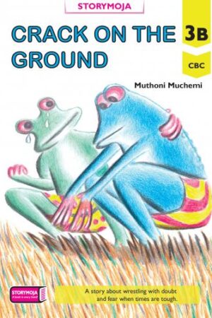 Crack on the Ground
