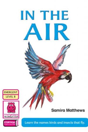 In the Air