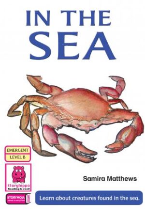 In the Sea