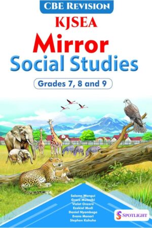kjsea mirror social studies